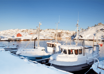 Marine retailers, lenders conflicted on 2026 outlook