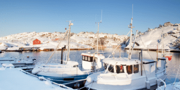 Marine retailers, lenders conflicted on 2026 outlook