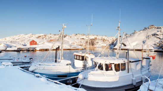 Marine retailers, lenders conflicted on 2026 outlook